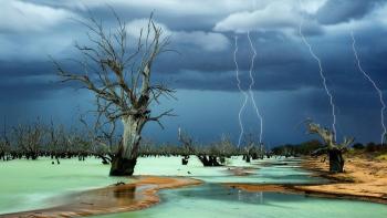 Don't get acqui-poached