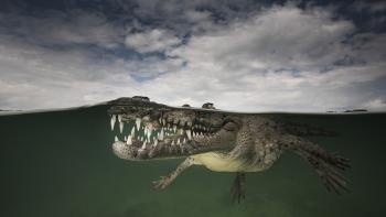 Strict liability IP rights: be very afraid